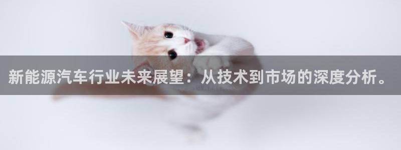 新宝gg娱乐客户端下载