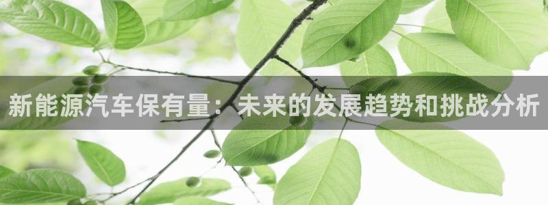 新宝gg娱乐客户端下载